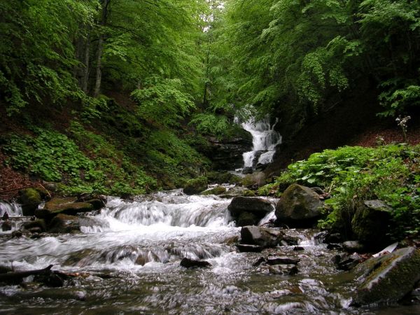 hutan,air,alam,air terjun,sungai,lembah