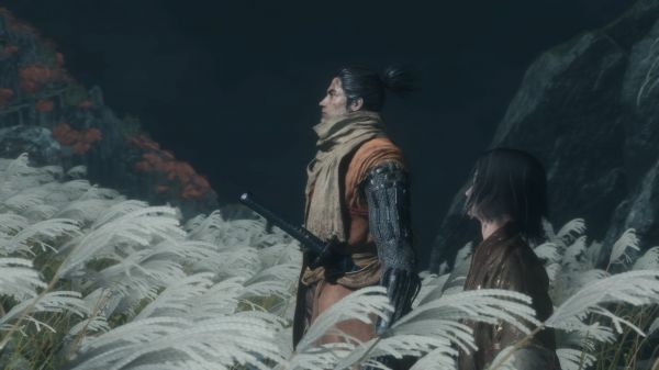 Sekiro Shadows Die Twice,Từ phần mềm,trò chơi điện tử,thanh kiếm,Shinobi