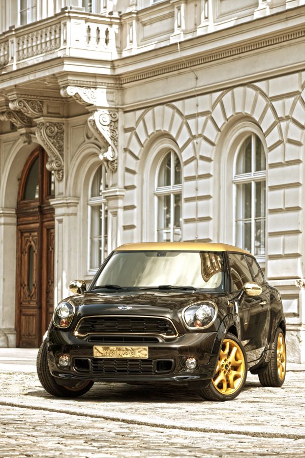 Năm 2014,Mini,Paceman Cooper S của Roberto Cavalli cho cuộc sống Ball,Netcarshow,Netcar,Hình ảnh xe hơi