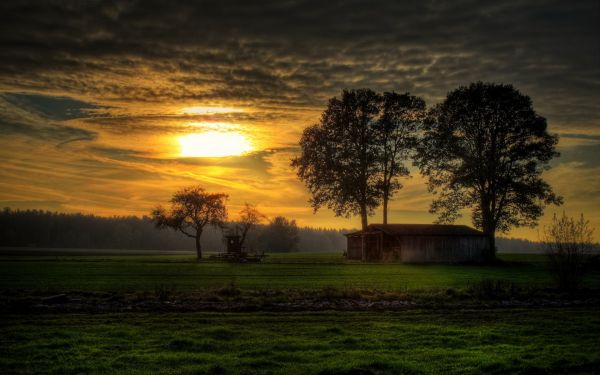 światło słoneczne, drzewa, krajobraz, zachód słońca, Natura, noc