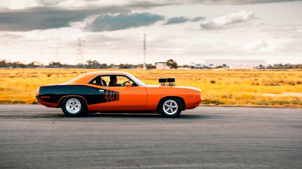 รถ, ยานพาหนะ, รถสีส้ม, มุมมองด้านหลัง, Plymouth Barracuda, 1971 Plymouth Barracuda