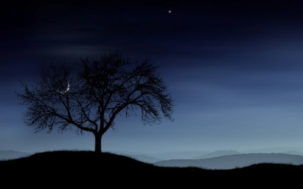 landscape,night,nature,space,sky,silhouette