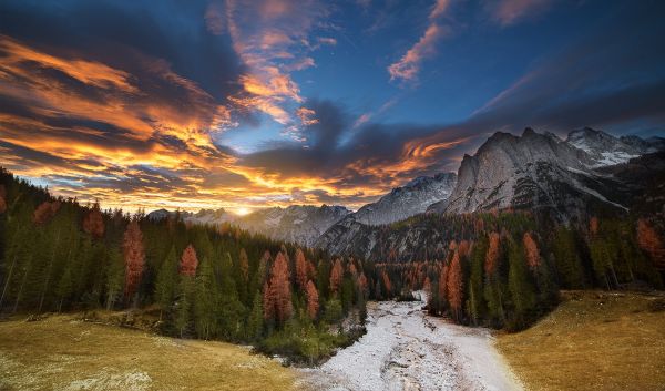 luz de sol,paisaje,vistoso,bosque,otoño,montañas