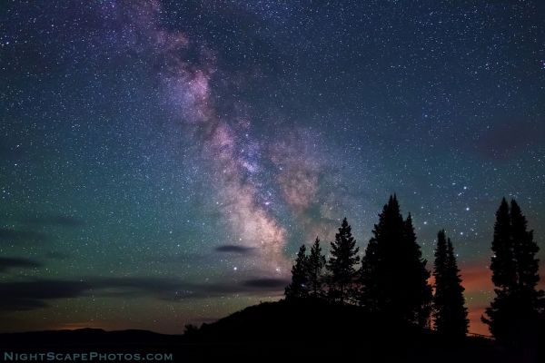 himmel,træer,USA,natur,silhuet,nat