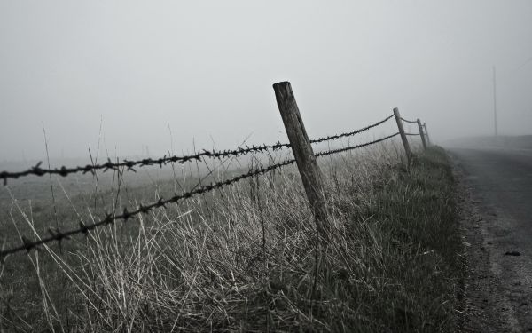 monochrome, barbed wire, landscape, water, reflection, grass