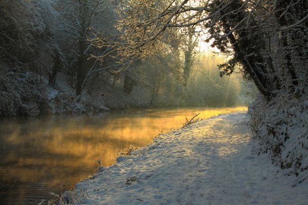 krajobraz,światło słoneczne,las,jezioro,woda,Natura