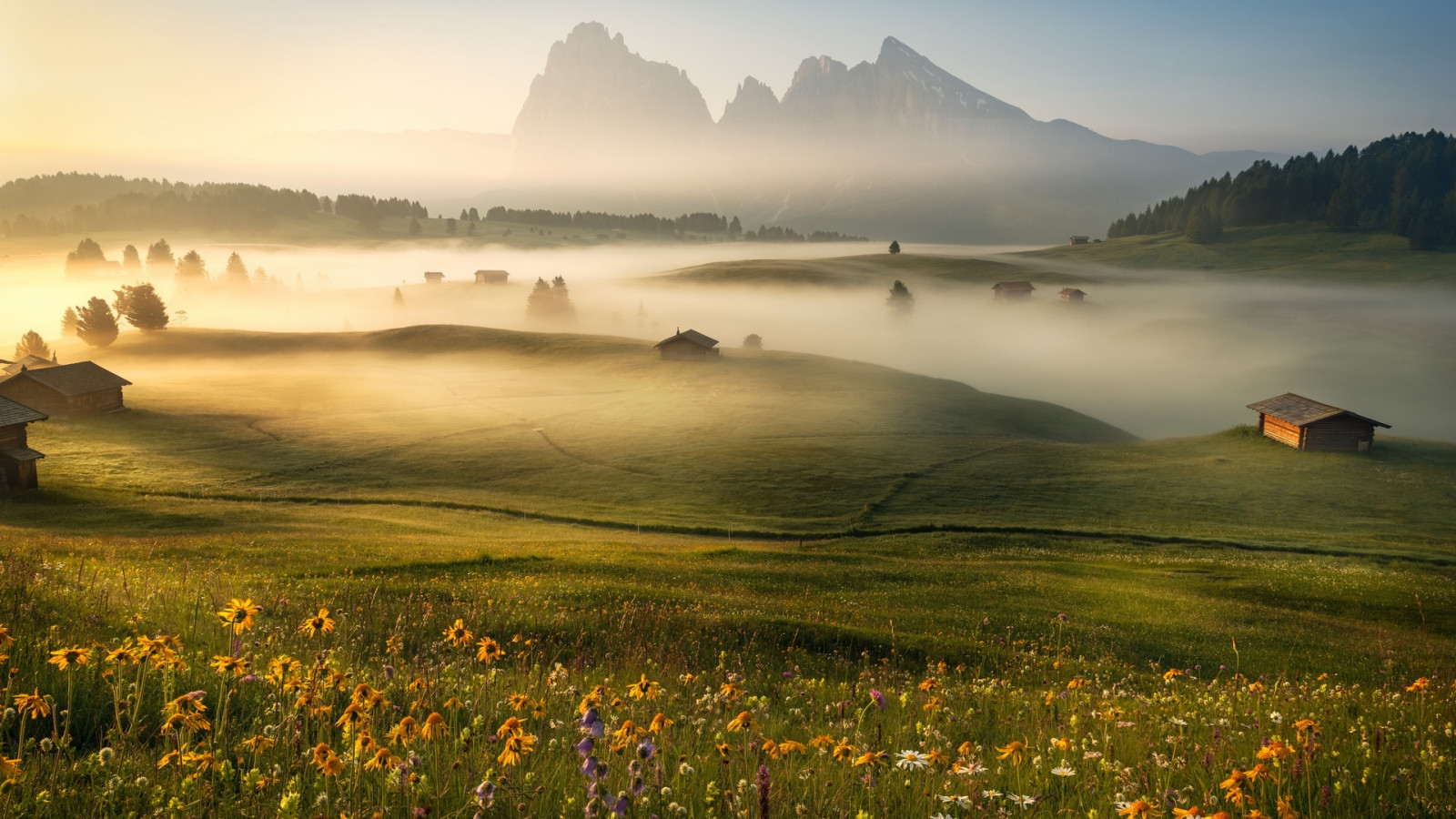 natureza, panorama, Árvores, montanhas, Colina, Flores, campo, névoa, cabine, floresta, Montanhas Dolomitas, Alpes, dolomite alps