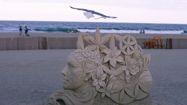 sand sculpture,de praia,Gaivotas,escultura,mar