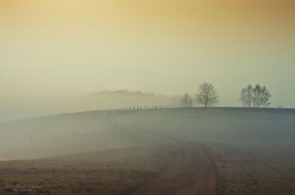 pemandangan,landschaft,kabut,nebel,melengkung,berkabut