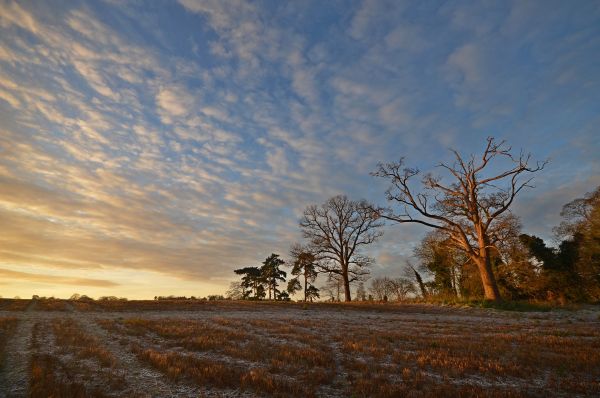 Morgen,Licht,Kamera,blau,Winter,Sonnenuntergang