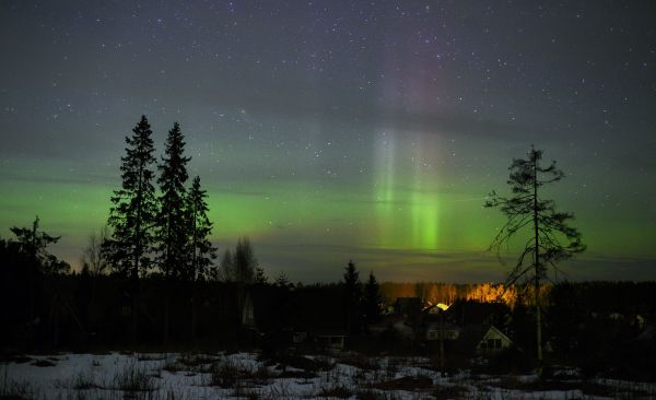 nuit,étoiles,bois,atmosphère,Russie,Constellations