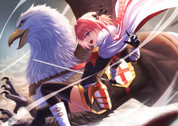 Astolfo Fate Apocrypha,osud Series,ružové vlasy,anime chlapci,Griffins,mys