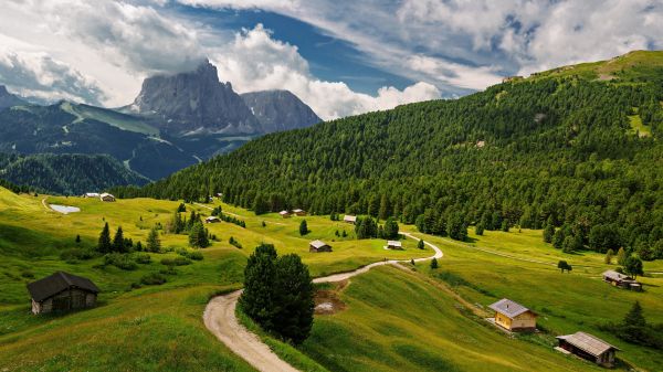 Italy,nature,landscape,road,field,house