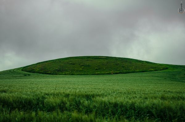 krajina,kopec,príroda,tráva,neba,lúka