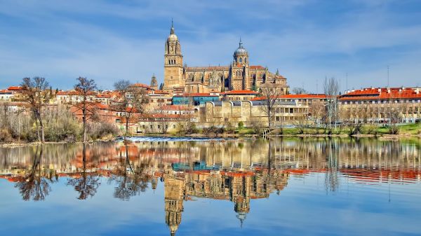 Bäume, Stadt, Stadtbild, die Architektur, See, Wasser