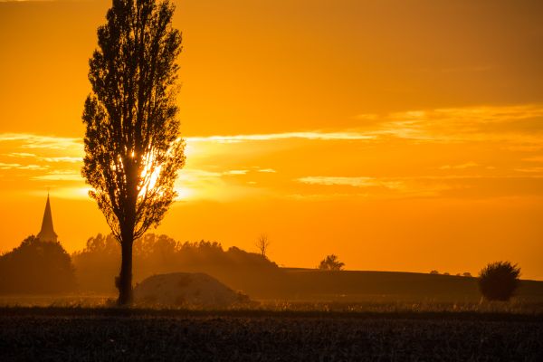 sunlight, landscape, sunset, sky, hill, nature