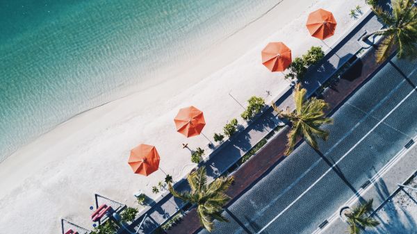 pláž,beach umbrella,silnice,palmy,letecký pohled,vlny