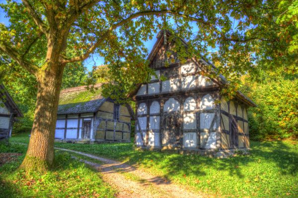 autumn,light,sky,Sun,colour,building