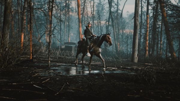 fotografering, game photography, Red Dead Redemption 2, Rockstar Games, PC-spilling, hest