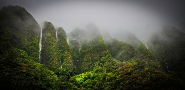 夏威夷,景观,性质,1568x768像素,薄雾,山