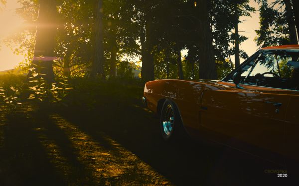 1969 Dodge Charger R T,Forza Horizon 4,imprimare