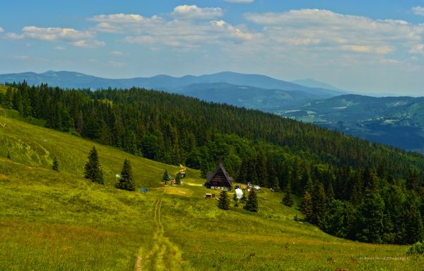 polska,โปแลนด์,polen,ขัด,polsko,beskid