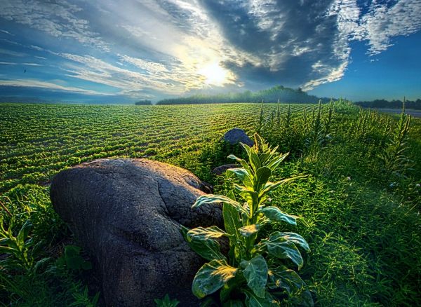 światło słoneczne,krajobraz,las,zachód słońca,wzgórze,skała