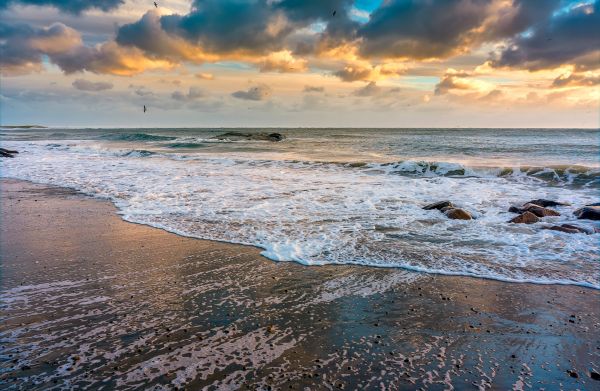 Skagen,Δανία,νερό,σύννεφα,καταιγίδα,πουλιά