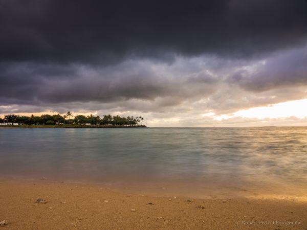 longexposure,fák,napnyugta,tengeri tájkép,strand,vihar