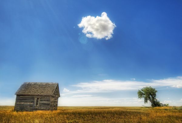 lumière du soleil,paysage,La peinture,colline,la nature,herbe