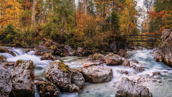 víz,vízkészlet,növény,fluvial landforms of streams,Natural landscape,ág