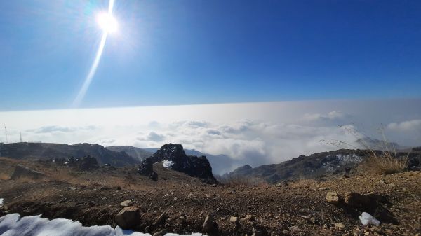 Iran,luonto,petolintu,kyyhkyset,Garden of Words,auringonnousu