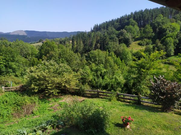 Himmel,Pflanze,Berg,plant community,Grün,Natural landscape