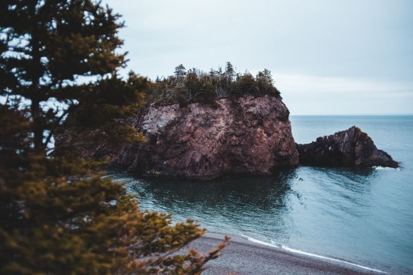 water,sky,cloud,tree,Natural landscape,coastal and oceanic landforms