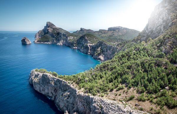 oceano, legna, blu, alberi, leggero, cielo