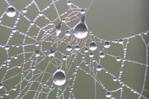 reflecţie,natură,apă,model,Natur,cădere brusca