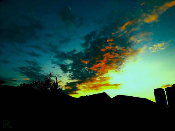 zonlicht,zonsondergang,hemel,wolken,horizon,avond