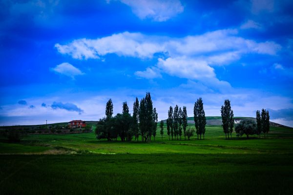 nuvens, campo, Terra, Campos, grama, 5616x3744 px