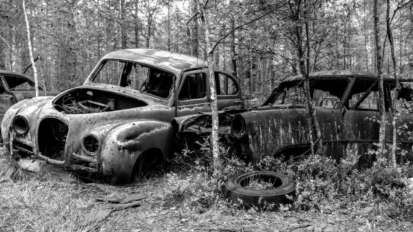 monocromático, carro, veículo, fotografia, Cânone, velho