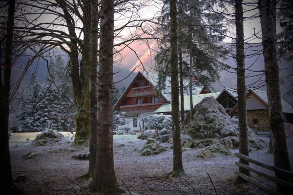 växt,atmosfär,himmel,byggnad,fönster,snö