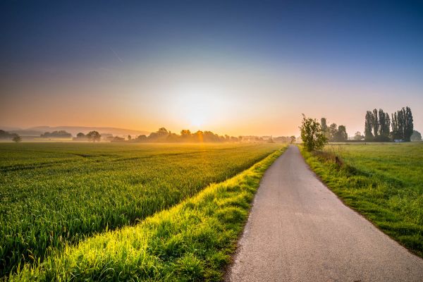 sunlight,landscape,sunset,hill,grass,sky