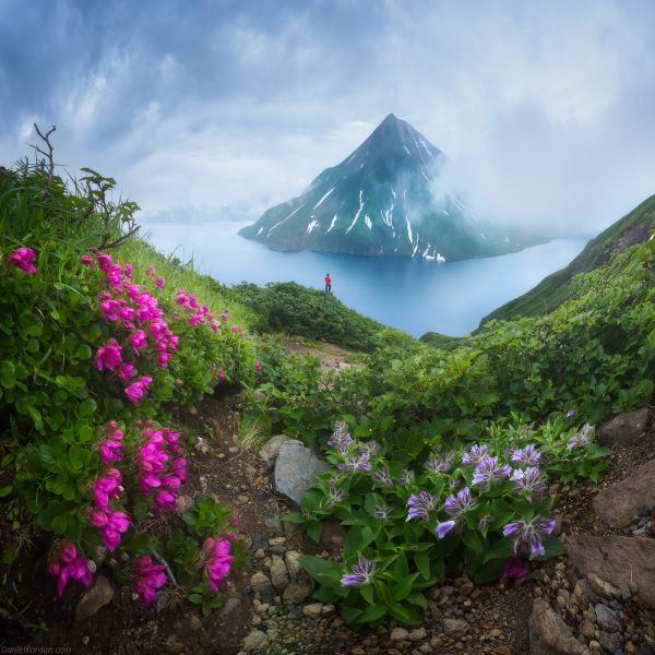 nube,cielo,planta,agua,flor,montaña