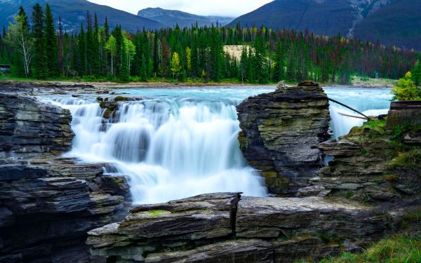 water,plant,water resources,mountain,fluvial landforms of streams,nature