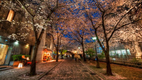 Trey Ratcliff,fotografování,Japonsko,Asie,Kyoto