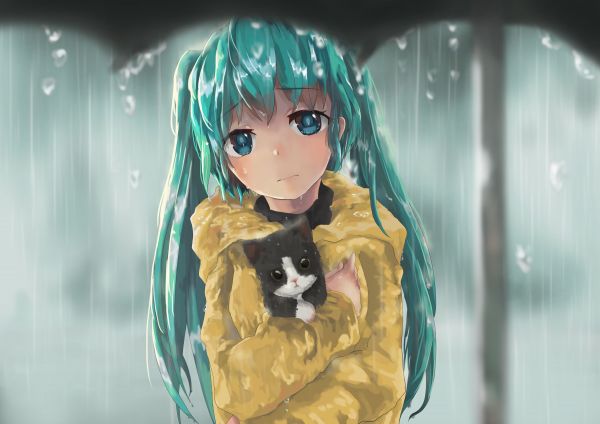 illustrazione, capelli lunghi, anime, anime girls, gatto, acqua