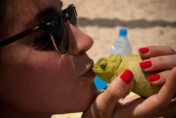 green,redhead,sunglasses,red,beach,yellow