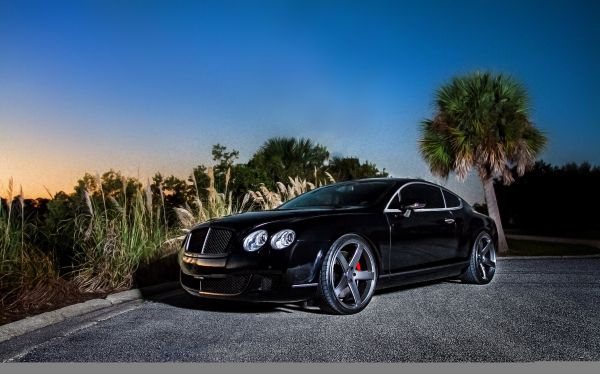 carro,veículo,Bentley,Conversível,Preto,vista lateral