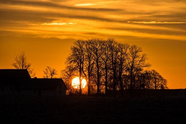 sunlight, landscape, sunset, nature, reflection, sky