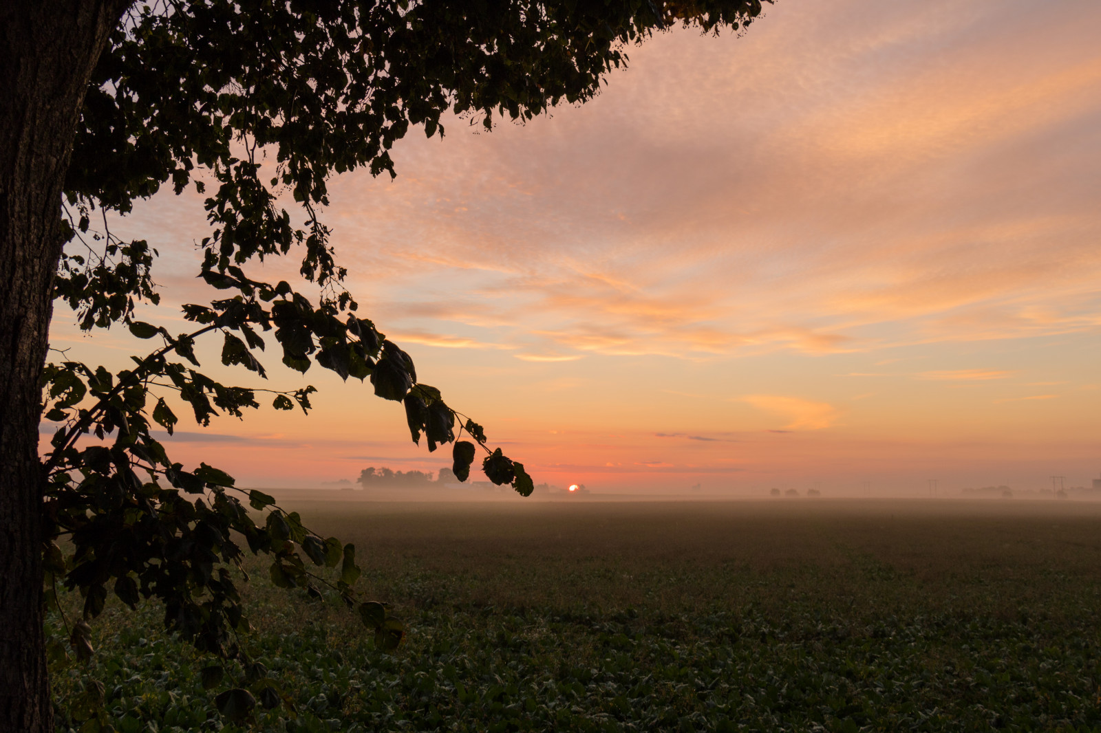 Sonnenlicht, Landschaft, Sonnenuntergang, Gras, Himmel, Feld, Ast, Sonnenaufgang, ruhig, Abend, Morgen, Nebel, Sonne, Horizont, Atmosphäre, Dämmerung, Sol, Ländlichen, Wolke, Baum, Nebel, Dämmerung, goldene Stunde, Himmel, Dimma, Landschaft, Geschmolzen, Landschaftlich, Landkap, Exif Modell canoneos760d, Geocountry, Kamera macht canon, Geocity, Kameramodell canoneos760d, Geostate, Geolocation, Exif linse efs18200mmf3556is, Exif machen canon, Exif isospeed 100, Exif Blende 63, Exif focallength 24mm, Morgon, Gyllenetimmen, Simlinge, Soderslatt, Wiese, Ebene, Nachglühen, Savanne, Soluppgang