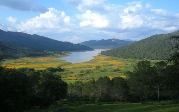 des arbres,paysage,Montagnes,colline,Lac,la nature